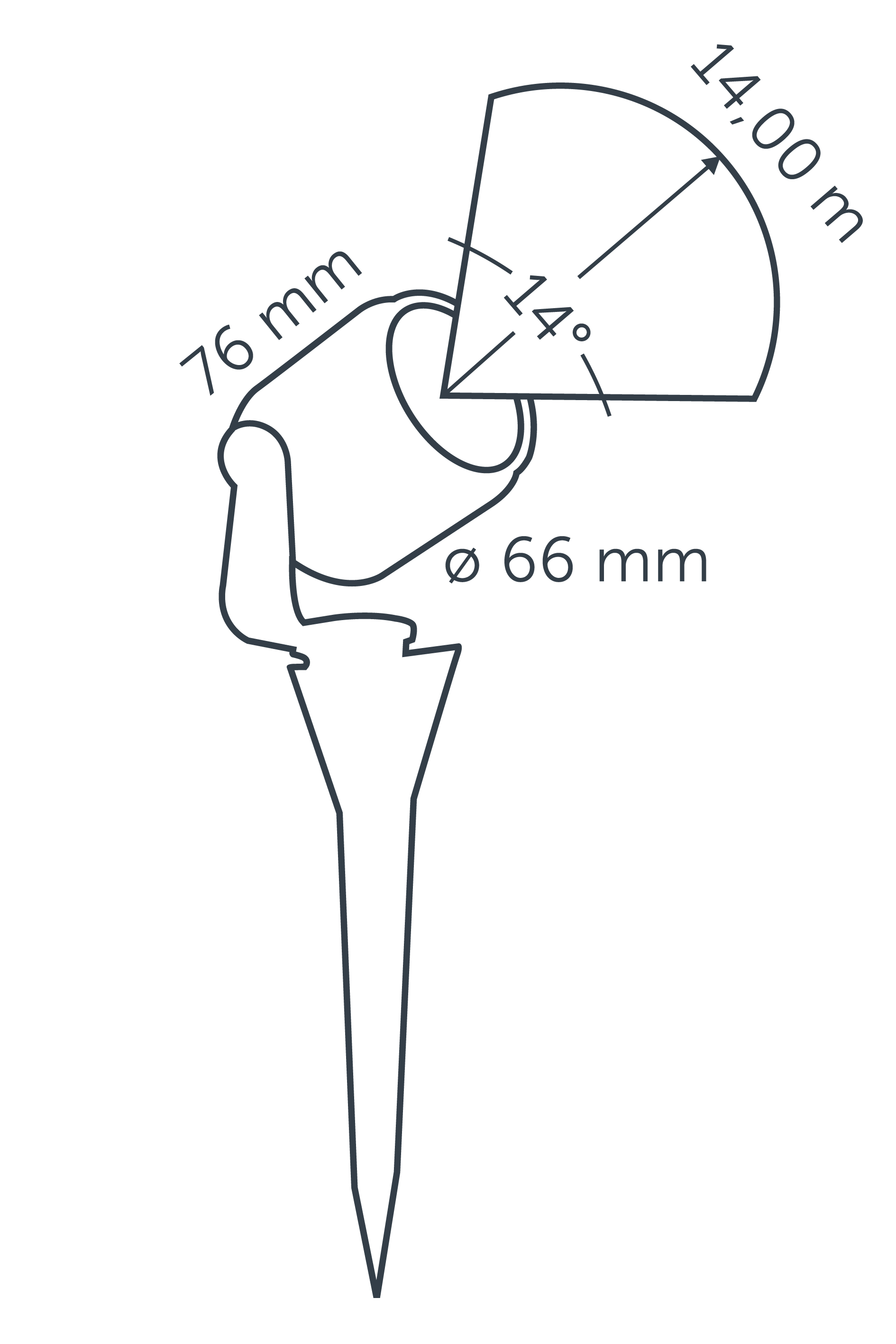 in-lite® BIG SCOPE NARROW (Update)