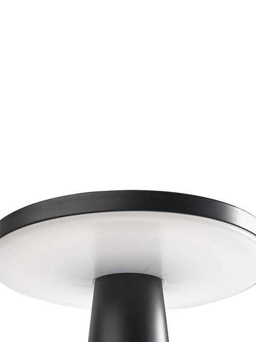 in-lite® DISC LIGHT HEAD